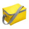 Bolsa Nevera de Poliéster Personalizada - Imagen 26