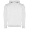 Sudadera con capucha infantil de 280 g/m² Personalizada 6K1067 - Imagen 35