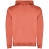 Sudadera con capucha infantil de 280 g/m² Personalizada 6K1067 - Imagen 38