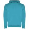 Sudadera con capucha infantil de 280 g/m² Personalizada 6K1067 - Imagen 75