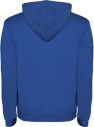 Sudadera con capucha infantil de 280 g/m² Personalizada 6K1067 - Imagen 101