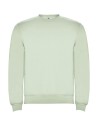 Sudadera de cuello redondo unisex de 280 g/m² Personalizada 6R1070 - Imagen 136