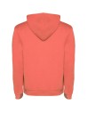 Sudadera con capucha para hombre de 280 g/m² Personalizada 6R1067 - Imagen 58