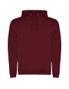 Sudadera con capucha para hombre de 280 g/m² Personalizada 6R1067 - Imagen 64