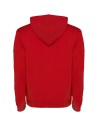 Sudadera con capucha para hombre de 280 g/m² Personalizada 6R1067 - Imagen 94