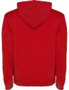 Sudadera con capucha para hombre de 280 g/m² Personalizada 6R1067 - Imagen 95