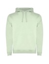 Sudadera con capucha para hombre de 280 g/m² Personalizada 6R1067 - Imagen 121