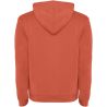 Sudadera con capucha infantil de 280 g/m² Personalizada 6K1067 - Imagen 40