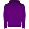 Sudadera con capucha infantil de 280 g/m² Personalizada 6K1067 - Imagen 55