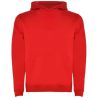 Sudadera con capucha infantil de 280 g/m² Personalizada 6K1067 - Imagen 59