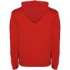 Sudadera con capucha infantil de 280 g/m² Personalizada 6K1067 - Imagen 148