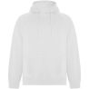 Sudadera unisex algodón orgánico de 300 g/m² Personalizada 6R1074 - Imagen 34
