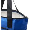 Bolsa Tote nevera plegable de RPET de 15 litros EcoFold Personalizada 6130092 - Imagen 33