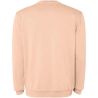 Sudadera de Cuello Redondo Unisex Personalizada - Imagen 46