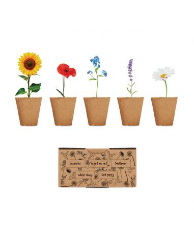 Kit de cultivo de flores - Imagen 1