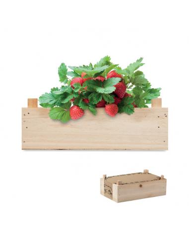 Kit de fresas en caja madera - Imagen 1