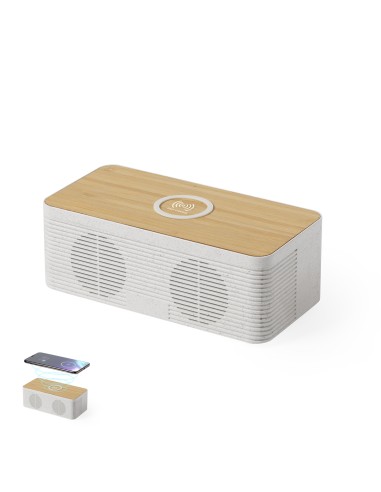 Altavoz Cargador Personalizado 86546