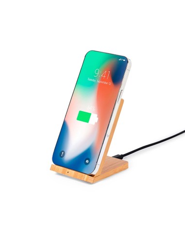 Cargador Personalizado 820281