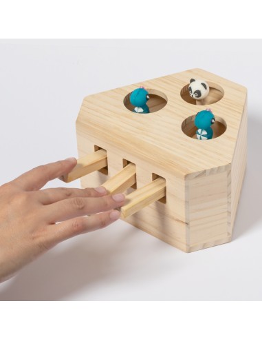 Juego Mascotas Personalizado 820318