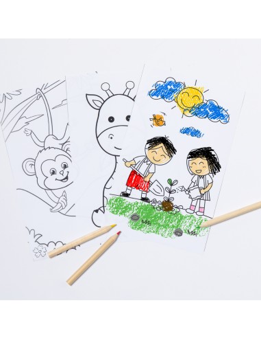 Set Personalizado 820368