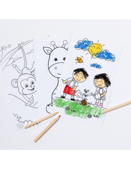 Set Personalizado 820368