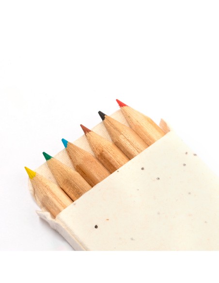 Caja Lápices Semillas Personalizado 820370