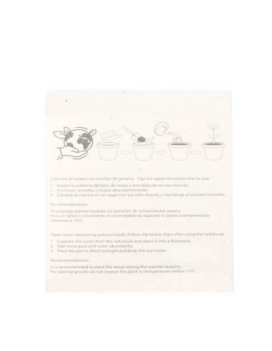 Set Semillas Personalizado 820372