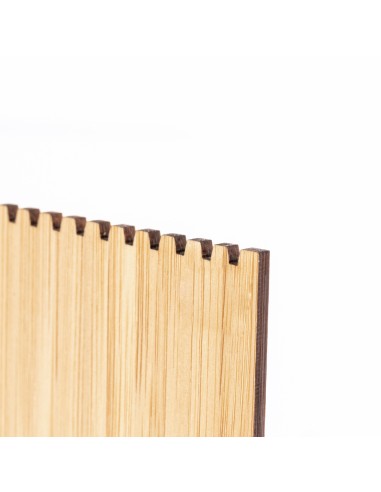 Rascador Hielo Personalizado 820416