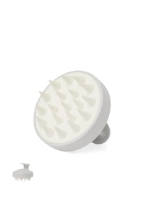 Emulsionador Personalizado 820560