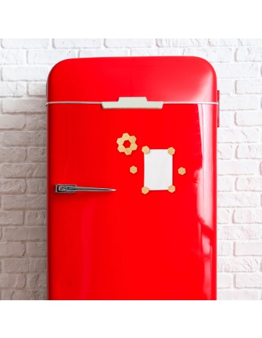 Set Imanes Personalizado 820597