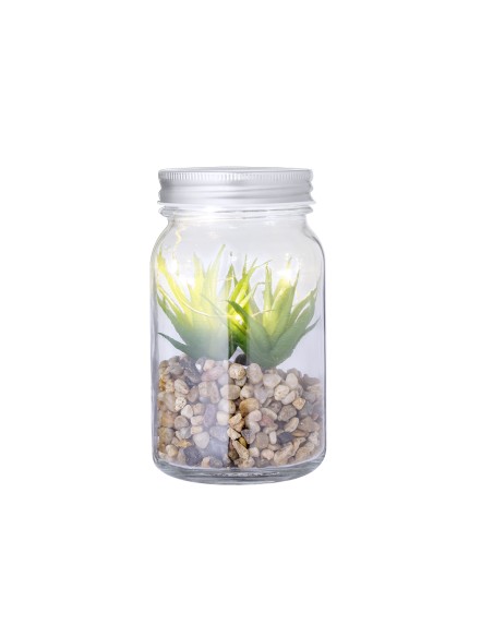 Planta Decorativa Personalizada 820608
