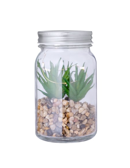 Planta Decorativa Personalizada 820608