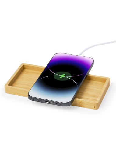 Cargador Organizador Personalizado 820861