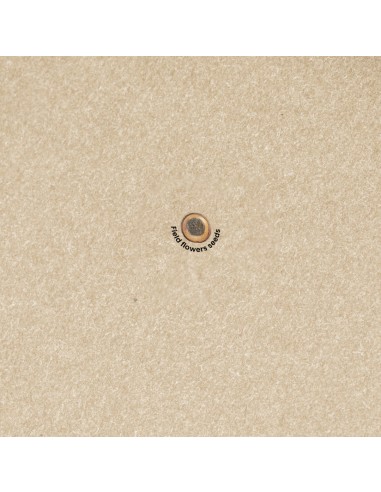 Bloc Notas Semillas Personalizado 820952