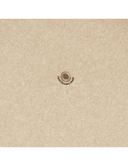 Bloc Notas Semillas Personalizado 820952