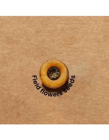 Carpeta Semillas Personalizado 820969