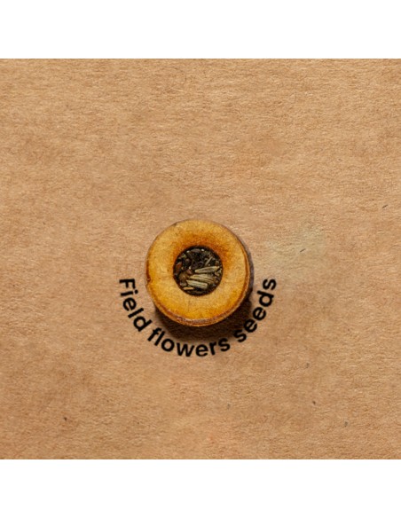 Carpeta Semillas Personalizado 820969