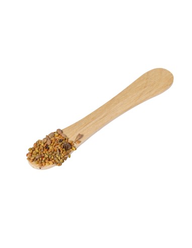 Stick Semillas Personalizado 820972