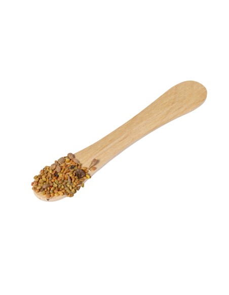 Stick Semillas Personalizado 820972