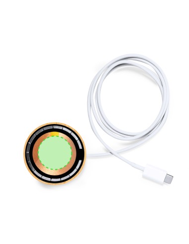 Cargador Personalizado 821191