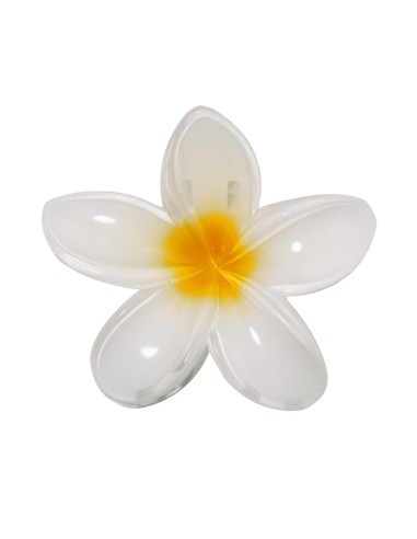 Pinza Personalizada 821851