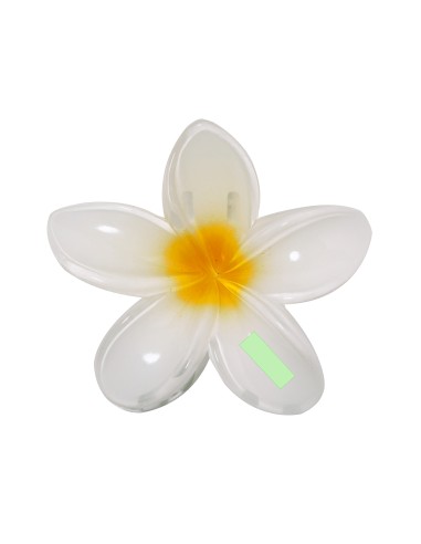 Pinza Personalizada 821851