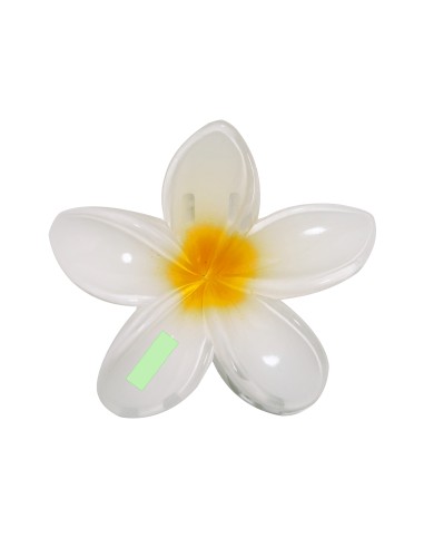 Pinza Personalizada 821851