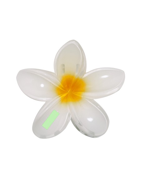 Pinza Personalizada 821851