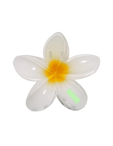 Pinza Personalizada 821851