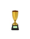 Trofeo Personalizado 821858 - Imagen 6