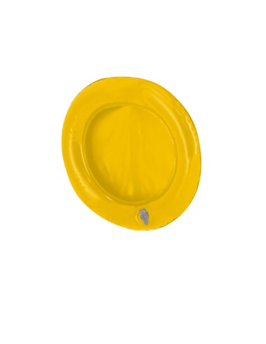 Almohadilla Frisbee Personalizado 821937