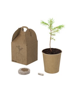 Maceta Personalizada 82765