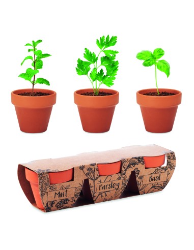 Juego de macetas de terracota 7MO6145