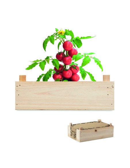 Mini-huerto tomates en caja 7MO6498
